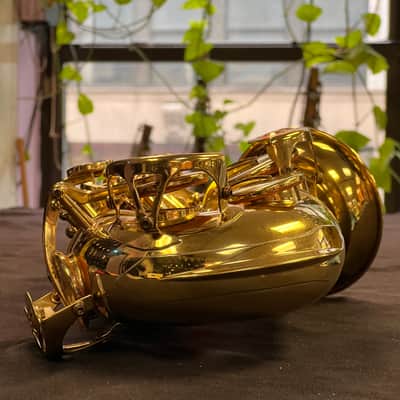 Selmer AS210 Alto Saxophone image 8