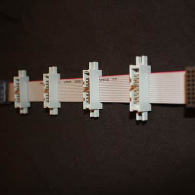 • 4-Outlet Eurorack Flying Power Bus Ribbon Cable • Nordstream2 Series • Avantgarde Sound 2024 image 1
