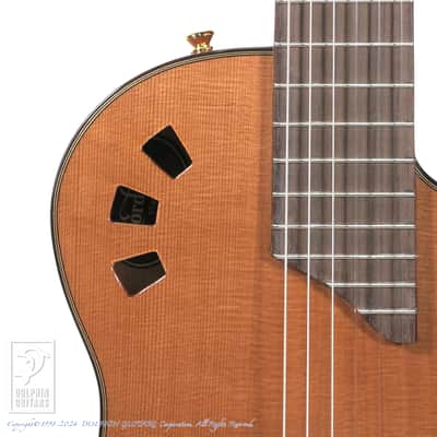 CORDOBA STAGE GUITAR (TRADITIONAL CD) image 14