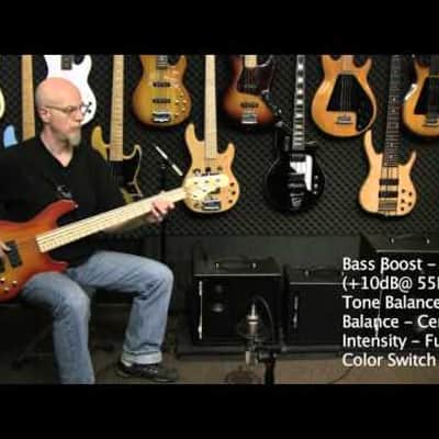 AER "Amp Three" Electric Bass Amplifier Combo (200 Watt) image 2