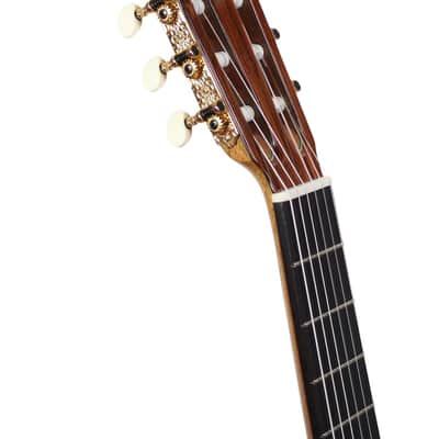 Manuel Adalid 12 Spruce image 10