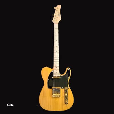 Southwest Acoustics Telecaster/Lightweight-Heavyweight Gold Hardware/Fully Set up image 2