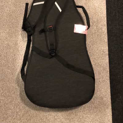 Dingwall NG/ Combustion Gig bag 2022 image 3