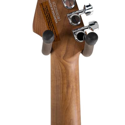 Charvel Pro-Mod Plus Dinky DK24 HH 2PT E Celestial Silk image 6