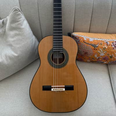 2025 Jialan Chen Coclea Cedro image 1