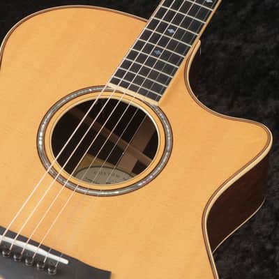 TAYLOR CST16 GAce-RW SS #FO [1107216127] [12/09] imagen 2