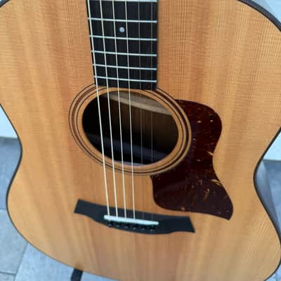 Taylor AD17 2021 - Matte image 15