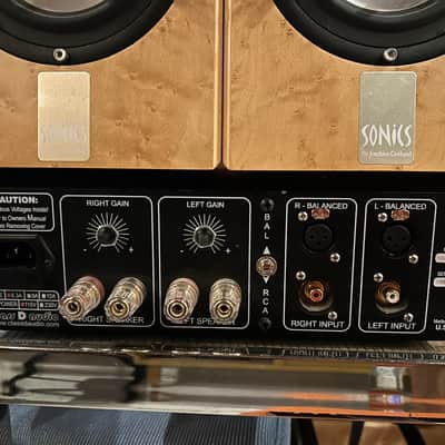 Sonics Anima by Joachim Gerhard with Class D Amp image 2