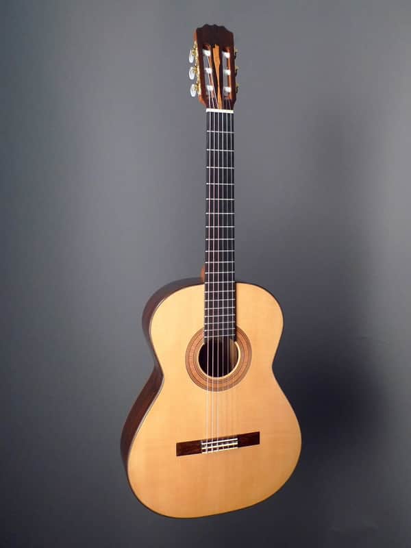 Steven Walter Guitars Concert image 1