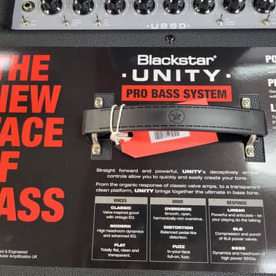 Blackstar Unity Series U250 250-Watt 1x15" Bass Guitar Combo Amp image 4