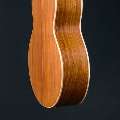 Lowden S-35J Guatemalan Rosewood and Alpine Spruce Nylon String Jazz Series with Pickup NEW image 23