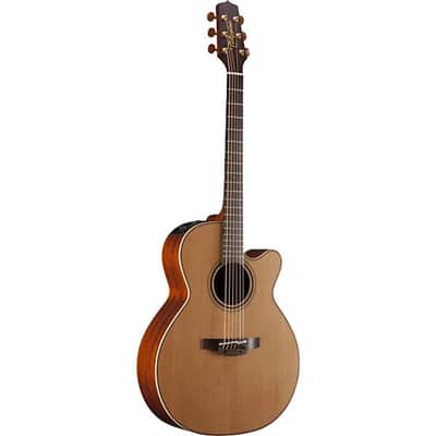 Takamine FSF40C Santa Fe image 2