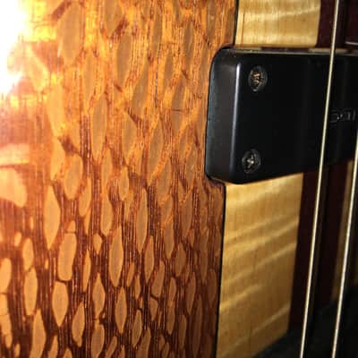 Tobias Classic 4 Active/Passive Bass image 3