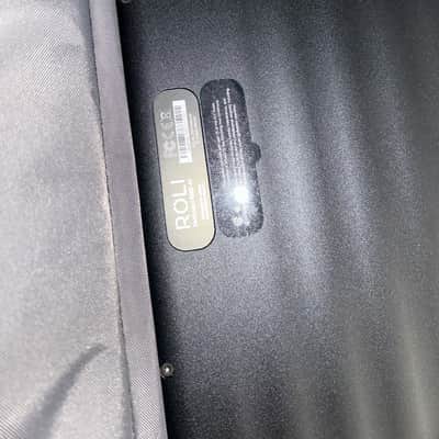 ROLI Seaboard RISE 49 MPE MIDI Controller - Very Good w/ Official Soft Case image 4