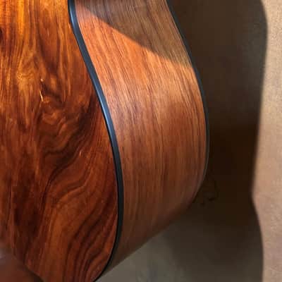 2004 Fall Limited Taylor 355ce-L7 - 12-String, Tasmanian Blackwood, Claria image 14