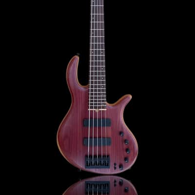Elrick EVO Gold 5 String Purpleheart 2025 - Natural image 1