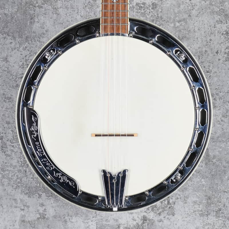 Gold Tone BG-250F Bluegrass 5-String Banjo with Flange 2010s - Vintage Brown image 1