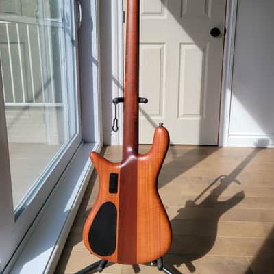 Spector Euro 4 RST 2023 - Sienna Stain matte image 6