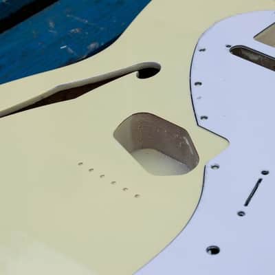 Eden Premier Series Semi-Hollow Alder Body Telecaster Guitar Vintage White image 7
