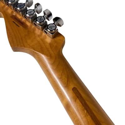 2022 Fender Player Plus HSS Stratocaster - Charcoal Frost Metallic image 24