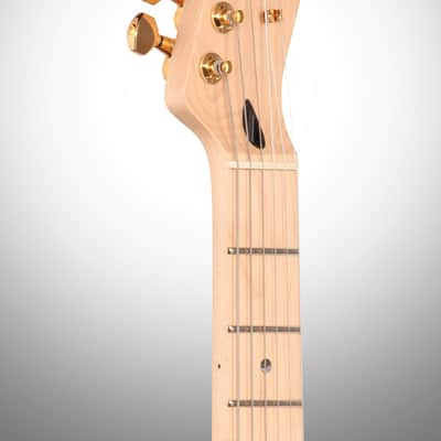 Fender Richie Kotzen Telecaster (Maple), Brown Sunburst image 7