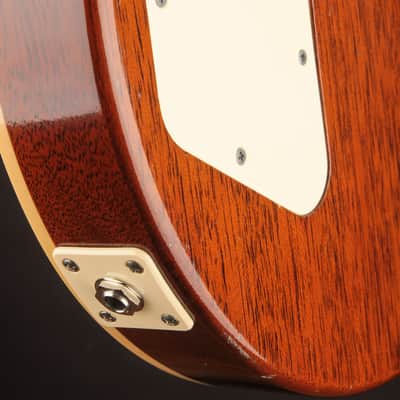 Josh Williams Guitars Stella Carved Top Dirty Lemon Burst w/Ron Ellis (USED, 2024) image 12