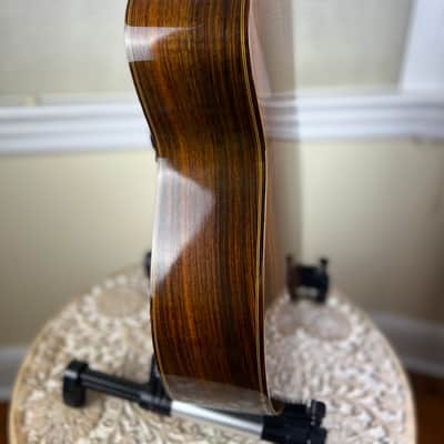 Asturias A18-11 11 String Altoguitar Alto Guitar image 7