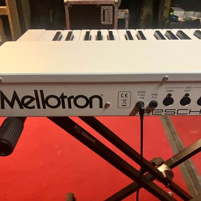 Mellotron M4000D Mini image 8