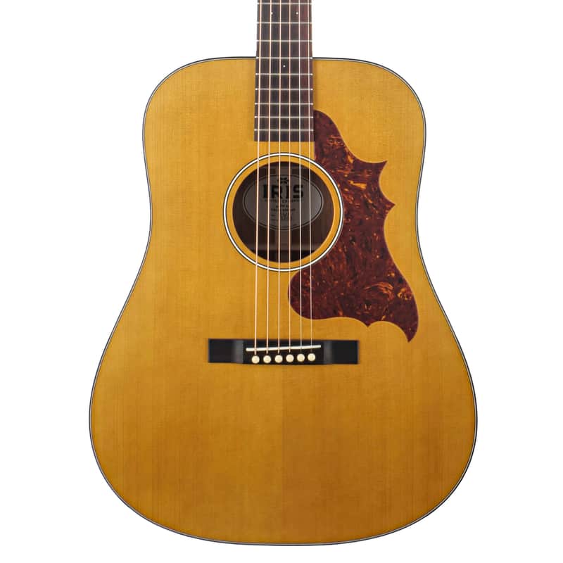 Iris DWH Natural Acoustic Guitar #1180 image 1