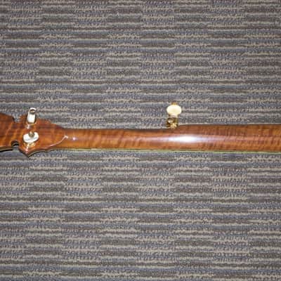 Stelling Staghorn Gold Plated Banjo No. 4510 (c. 1996) image 3