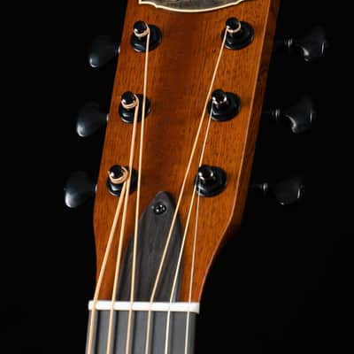 Beard Trailhead Mahogany, E Body Round Neck, Tobacco, Fishman Nashville Pickup - NEW image 8