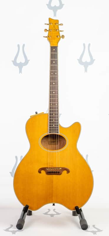 Daion The Year Series '81 Caribou - Tinted Tan (TAN) - Electric Acoustic Six String image 1