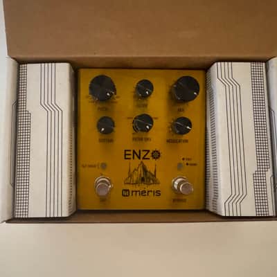 Meris Enzo 2018 - Gold image 3
