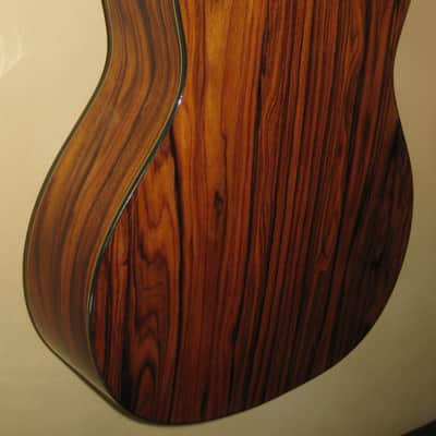 Giannini GWNEW 3 Exotic Series All Solid Wood Classical Guitar w/Hardshell Case image 8