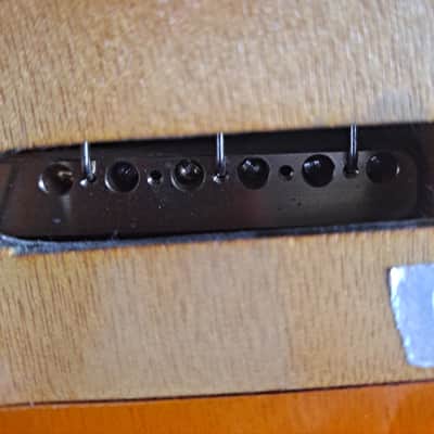 Juicy guitars Santana tribute 2024 - Amber image 3