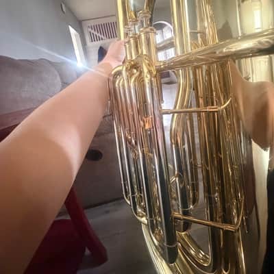 Eastman Tuba EBB431 imagen 4