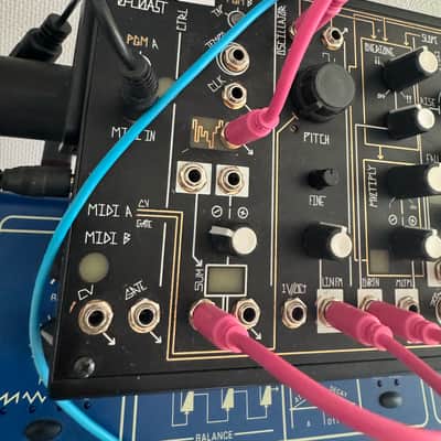 Make Noise 0-Coast Patchable Synthesizer 2008 - Present - Black image 2
