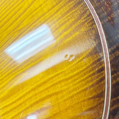 Washburn B18 5 String Resonator 1983 - Clear Gloss image 8