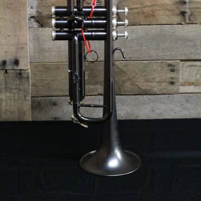 Cannonball 789RL Big Bell Stone Series Pro Trumpet image 2