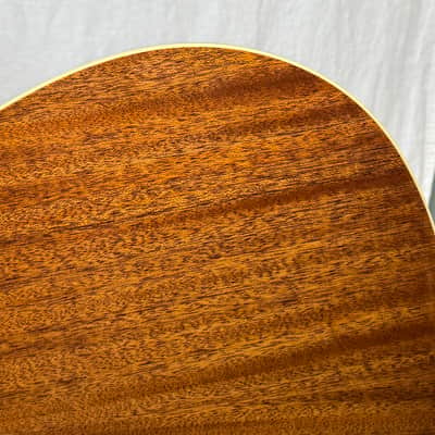 Alvarez AD60-12CE 12-string Acoustic Guitar with Case image 13