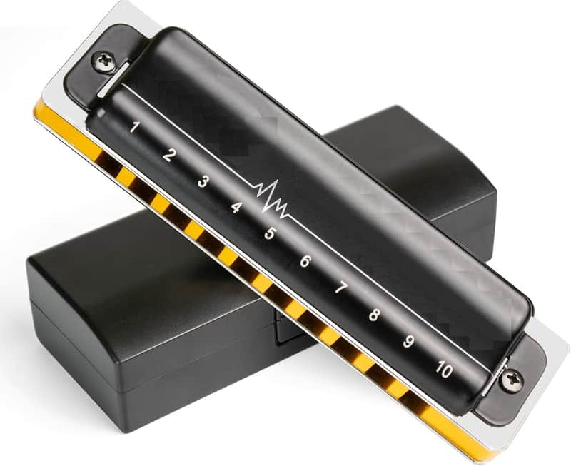 Harmonica of B flat Key,Blues Mouth Organ 10 Hole 20 Tones, Reed of Phosphor Bronze, ABS Combo, Easy-Clean Cover,10 Hole Blues Harp for Adult, Beginner image 1