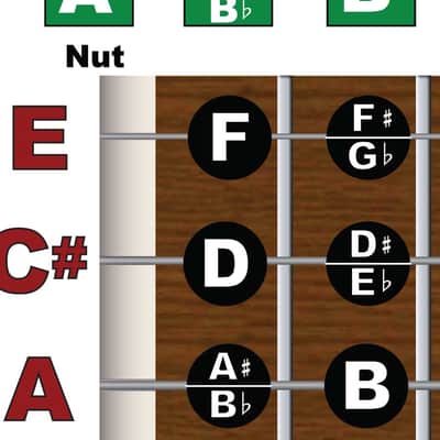 A6 Lap Steel Guitar Fretboard Poster (C#EF#AC#E) – Note Chart for Slide Guitar | Visually Map and Master A6 Tuning for Western Swing & Hawaiian Music | Essential Learning Tool & Gift for Musicians | A New Song Music image 3