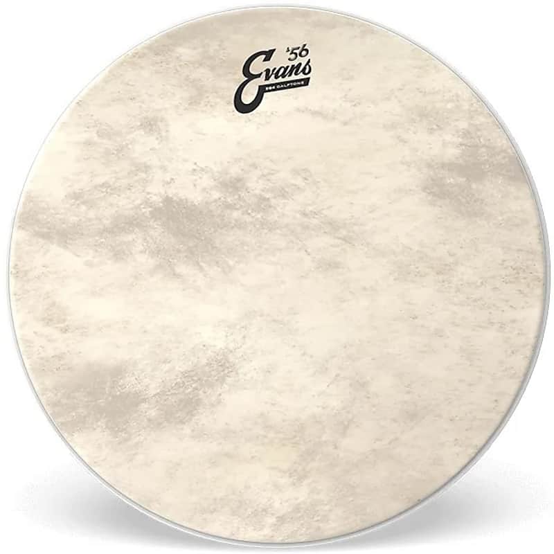 Evans BD20GB4CT EQ4 Calftone Bass Drum Head - 20" image 1