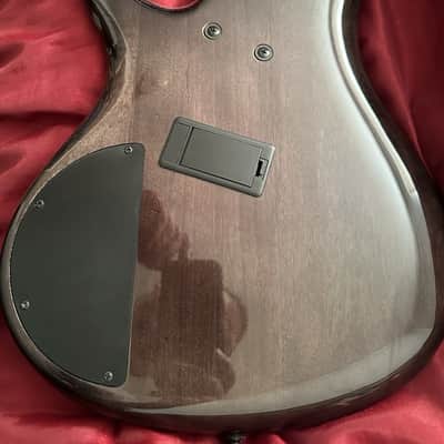 Ibanez Ibanez SDGR 5-String 2021 - Purple Burl image 7