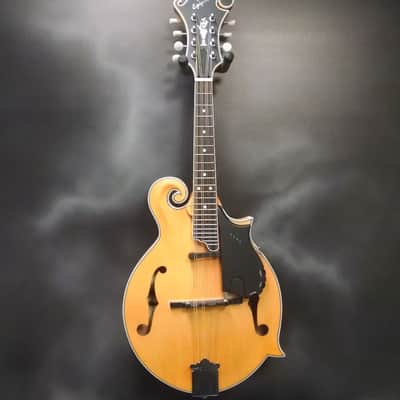 Epiphone MM-50E Professional Mandolin | Reverb