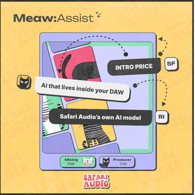 Meaw : Assist image 3