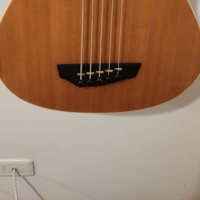 GODIN A5 SA 2006 - 5 STRING BASS image 2