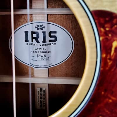 Iris Guitars D-WH Natural image 4