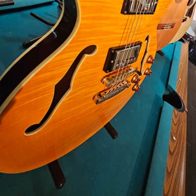 Hamer Echotone 335 Semi Hollow Body Electric Guitar image 5