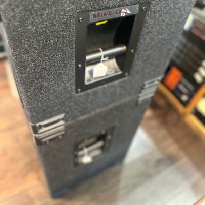 EBS HD350 Bass Amp Head With NEO 115 & NEO 210 Evolution Neoline Pro Speakers mid 2000s ish - Rack Mounted & Carpeted image 11